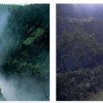Wet Tropics National Park (World Heritage)